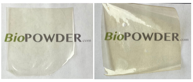Effect Olive Stone Powder Properties Plant Protein-Based Bioplastic Films Used as Degradable Packaging Materials
