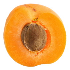 bio powder natural ingredients suppliers Noyau d'abricot